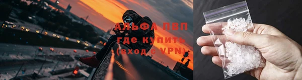 шишки Богданович