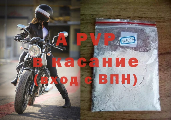 шишки Богданович
