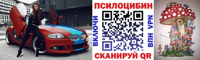 Галлюциногенные грибы Psilocybe  OMG вход  Верхний Тагил  магазин продажи наркотиков 
